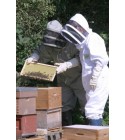 Combinaison apiculteur Sherriff taille S Blanc