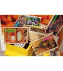 Jeu de 10 cadres + photos ruche DB Eric Tourneret