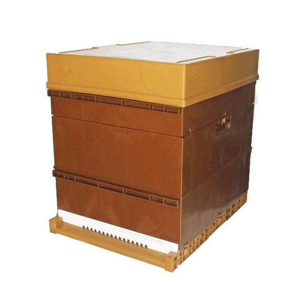 Ruche Nicot DB10 sans cadres