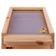 Plancher bois ruchette dadant 6 cadres ventilation totale grillage inox 
